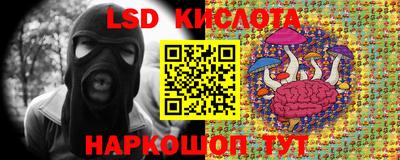 эйфоретик Гусев