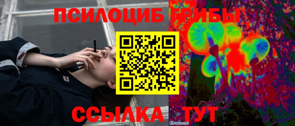 Галлюциногенные грибы Cubensis Лесосибирск