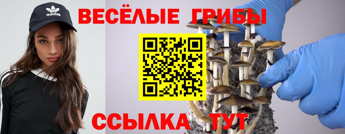 Галлюциногенные грибы Cubensis  Вход с VPN  Лесосибирск 